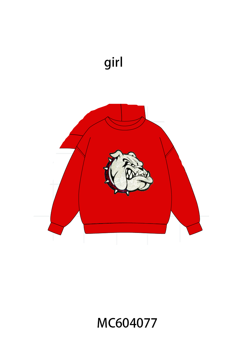 PO86 Collegiate sequin pullover collection 1